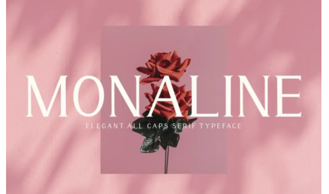 [Fontbundles] Monaline Font (2021)_0.png